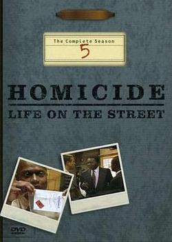 情理法的春天 第五季(Homicide: Life on the Street Season 5)