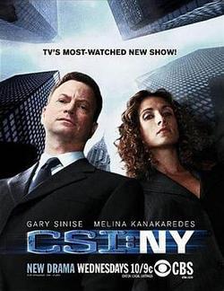 犯罪現場調查：紐約 第五季(CSI: NY Season 5)