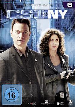 犯罪現場調查：紐約 第六季(CSI: NY Season 6)