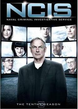海軍罪案調查處 第十季(NCIS: Naval Criminal Investigative Service Season 10)