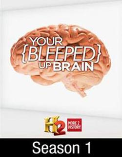 短路的大腦 第一季(your bleeped up brain Season 1)