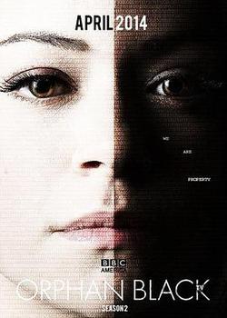 黑色孤兒 第二季(Orphan Black Season 2)