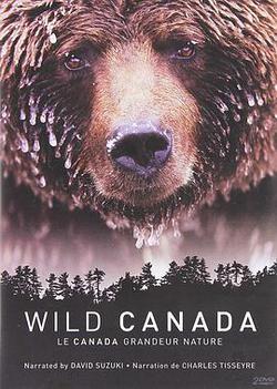 野性加拿大 第一季(Wild Canada Season 1)