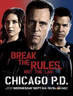 芝加哥警署 第二季(Chicago P.D. Season 2)
