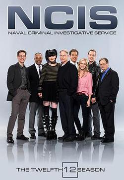 海軍罪案調查處 第十二季(NCIS: Naval Criminal Investigative Service Season 12)