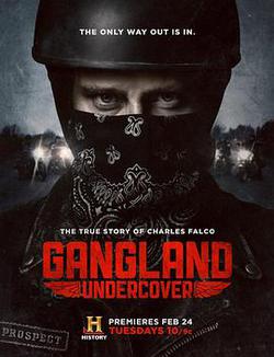 黑幫卧底 第一季(Gangland Undercover Season 1)