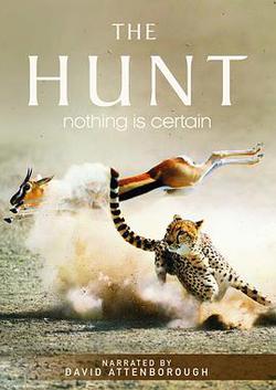 獵捕(The Hunt)