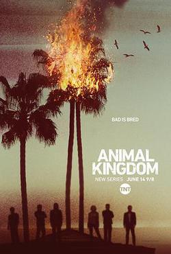 野獸家族 第一季(Animal Kingdom Season 1)