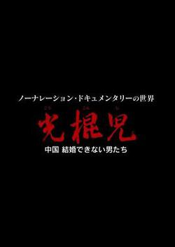 光棍兒：中國結不了婚的男人們(光棍児 中國 結婚できない男たち)