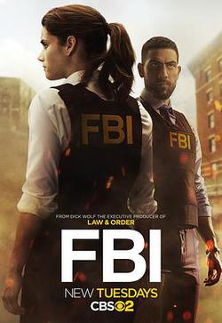 聯邦調查局 第一季(FBI Season 1)