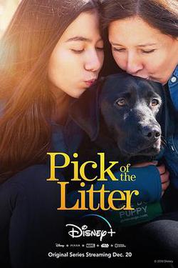 崽之抉擇 第一季(Pick of the Litter Season 1)