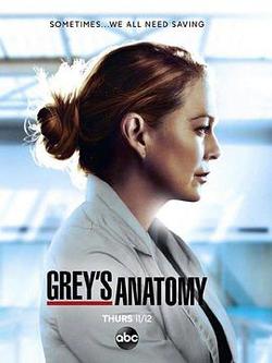 實習醫生格蕾 第十七季(Grey's Anatomy Season 17)