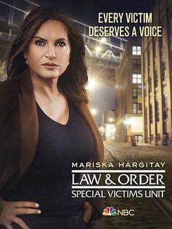 法律與秩序：特殊受害者 第二十二季(Law & Order: Special Victims Unit Season 22)