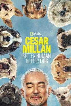 西澤教官狗主人訓練班 第一季(Cesar Millan: Better Human Better Dog Season 1)
