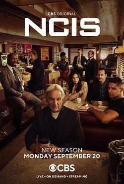 海軍罪案調查處 第十九季(NCIS: Naval Criminal Investigative Service Season 19)