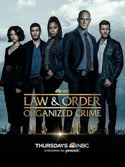 法律與秩序：組織犯罪 第三季(Law & Order: Organized Crime Season 3)