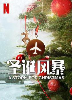 聖誕風暴(A Storm for Christmas)
