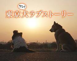 東京犬愛情故事(東京犬ラブストーリー)