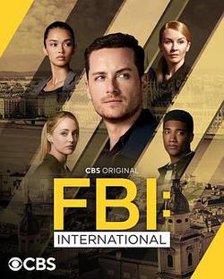 聯邦調查局：國際 第四季(FBI: International Season 4)