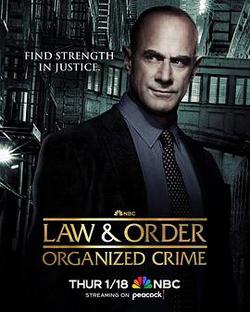 法律與秩序：組織犯罪 第四季(Law & Order: Organized Crime Season 4)