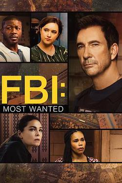 聯邦調查局：通緝要犯 第五季(FBI: Most Wanted Season 5)