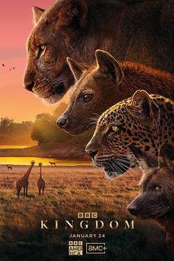 動物王國(Kingdom)