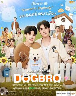 หมาน้อง
