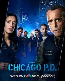 芝加哥警署 第十四季(Chicago P.D. Season 14)