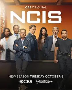 海軍罪案調查處 第二十四季(NCIS: Naval Criminal Investigative Service Season 24)