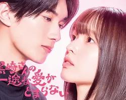 黑崎先生停不下來的專一之愛(黒崎さんの一途な愛がとまらない)