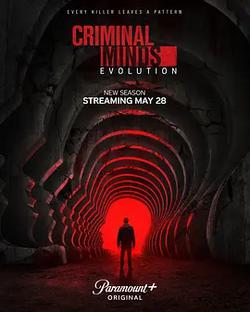犯罪心理：演變 第十九季(Criminal Minds: Evolution Season 19)