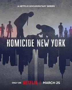 凶殺重案實錄：紐約 第二季(Homicide: New York Season 2)