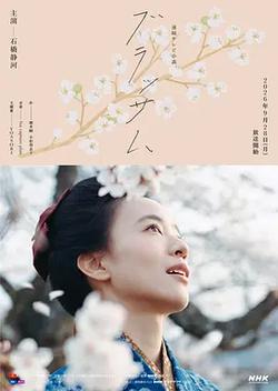 花朵盛開(ブラッサム)