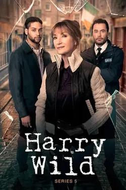 野探哈莉 第五季(Harry Wild Season 5)