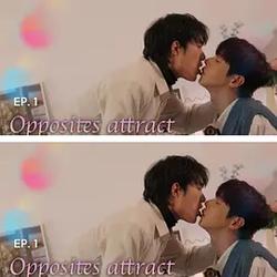 反向吸引(반대에 끌리는 이유)