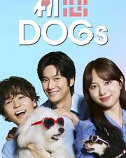 初戀DOGs