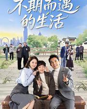 不期而遇的生活